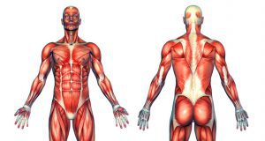 effects of bad posture on muscles
