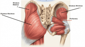 how to correct lateral pelvic tilt